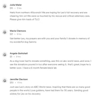 Netizens extend support as Leo receives treatment for injuries (Image via GoFundMe)